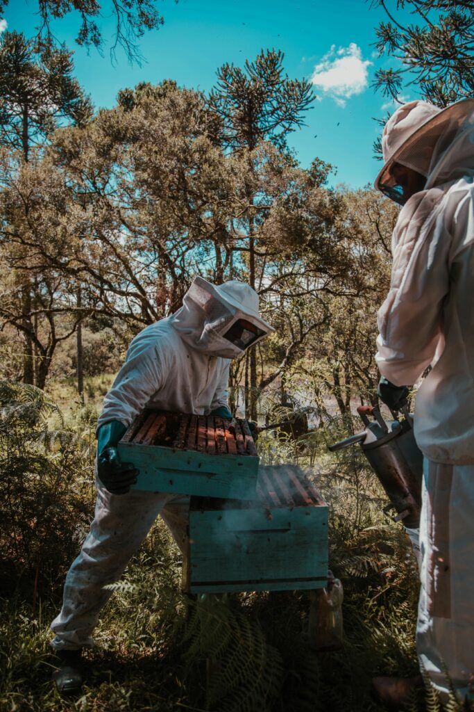 Two beekeepers in full suits tending to beehives in a sunlit forest, emphasizing nature and agriculture.