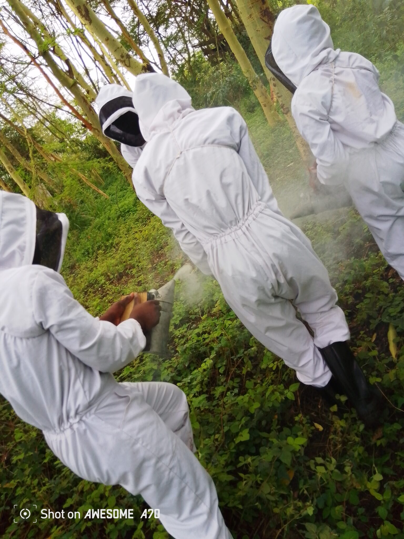 img 20250327 111647 133