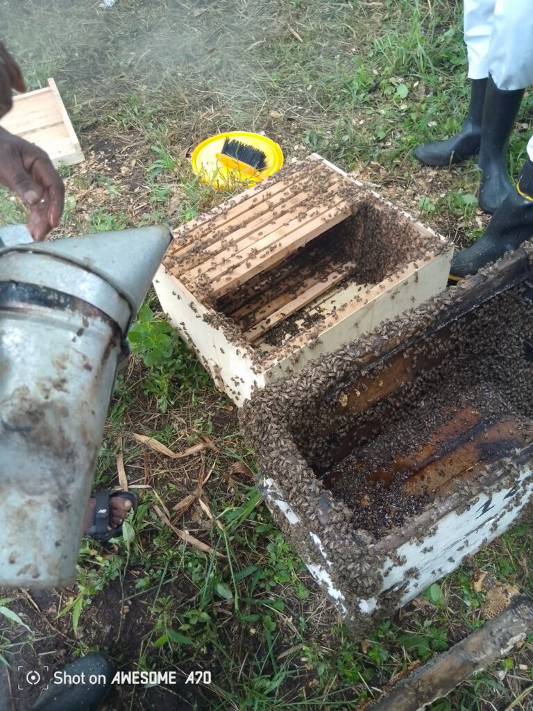 img 20250327 113640 546