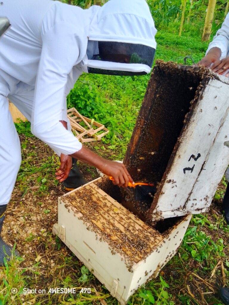 img 20250327 114141 985