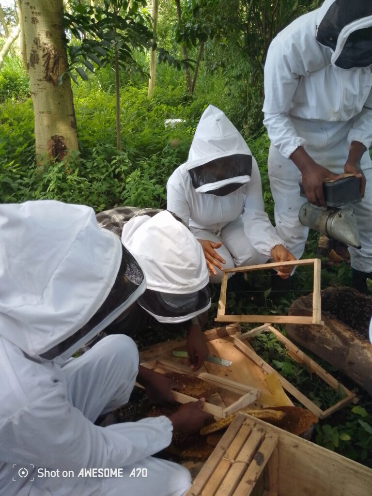 img 20250428 114229 969