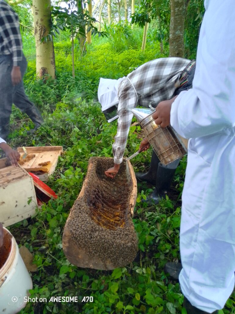 img 20250428 114649 390